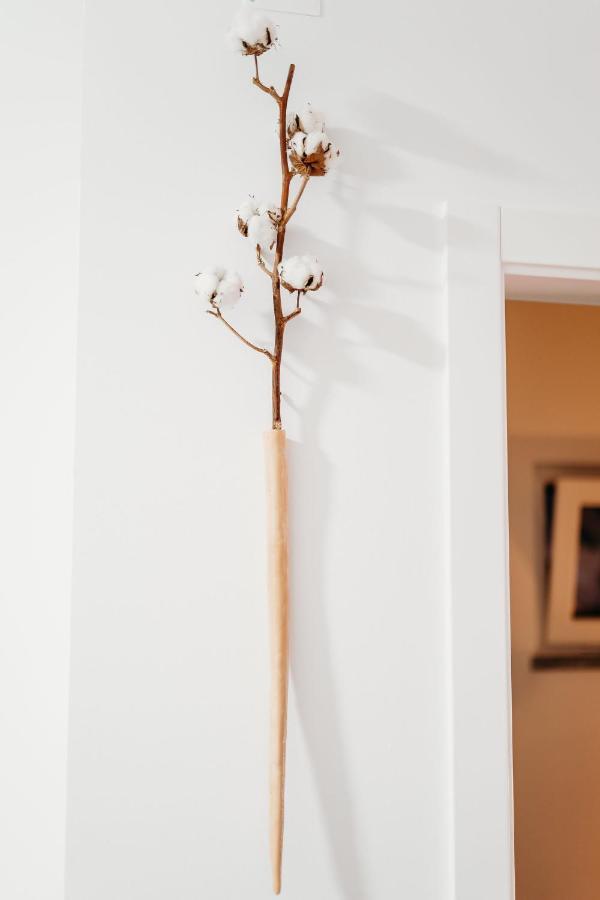 Villa Saudade - Sustainable Living